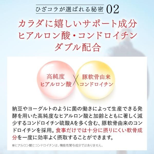 【公式】キューサイ ひざサポートコラーゲン 150g (約30日分)[機能性表示食品]( 浅田真央 / CM / ひざこら / ひざコラ) |  | 16