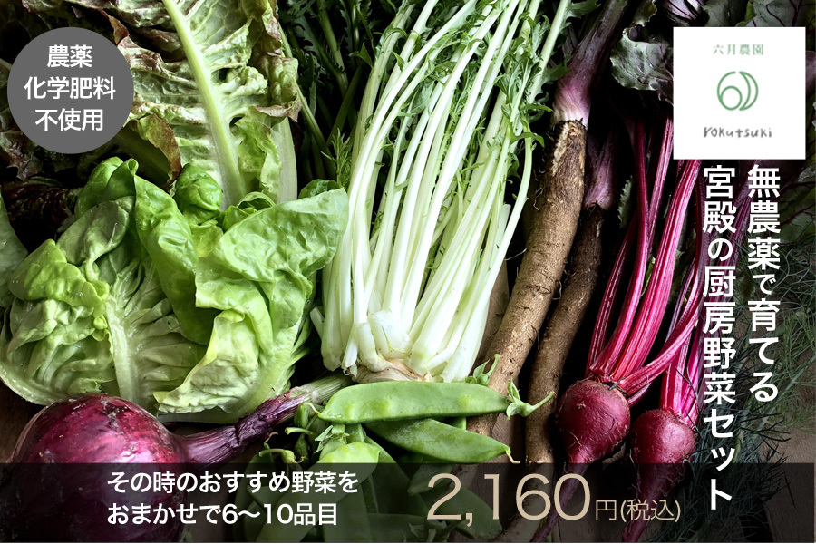 六月農園・宮殿の厨房野菜セット