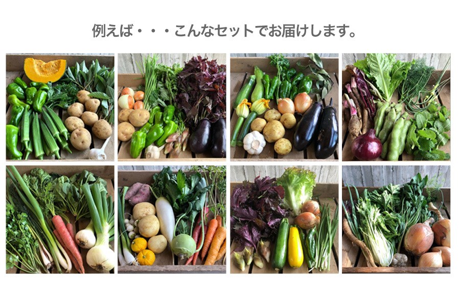 六月農園・宮殿の厨房野菜セット