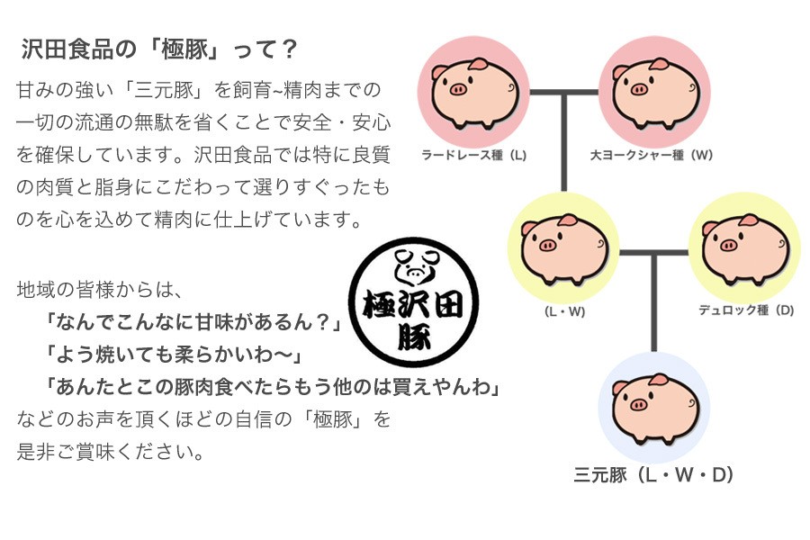極豚ロース・ヒレ 厚切りとんかつセット