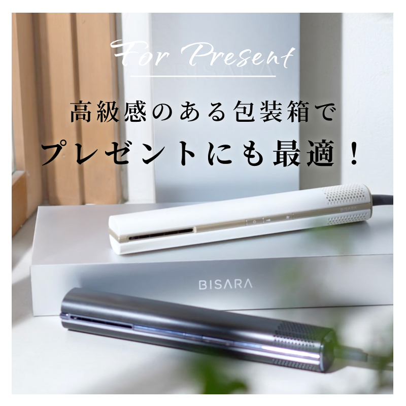 BISARA（ビサラ） 公式 スティック ドライヤー 超速乾 超大風量 BLDC