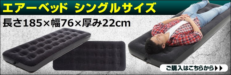 電動ポンプ AC家庭用電源 コンセント式 空気入れ エアーベッド 大型プール 浮き輪 空気入れ＆空気抜き両用