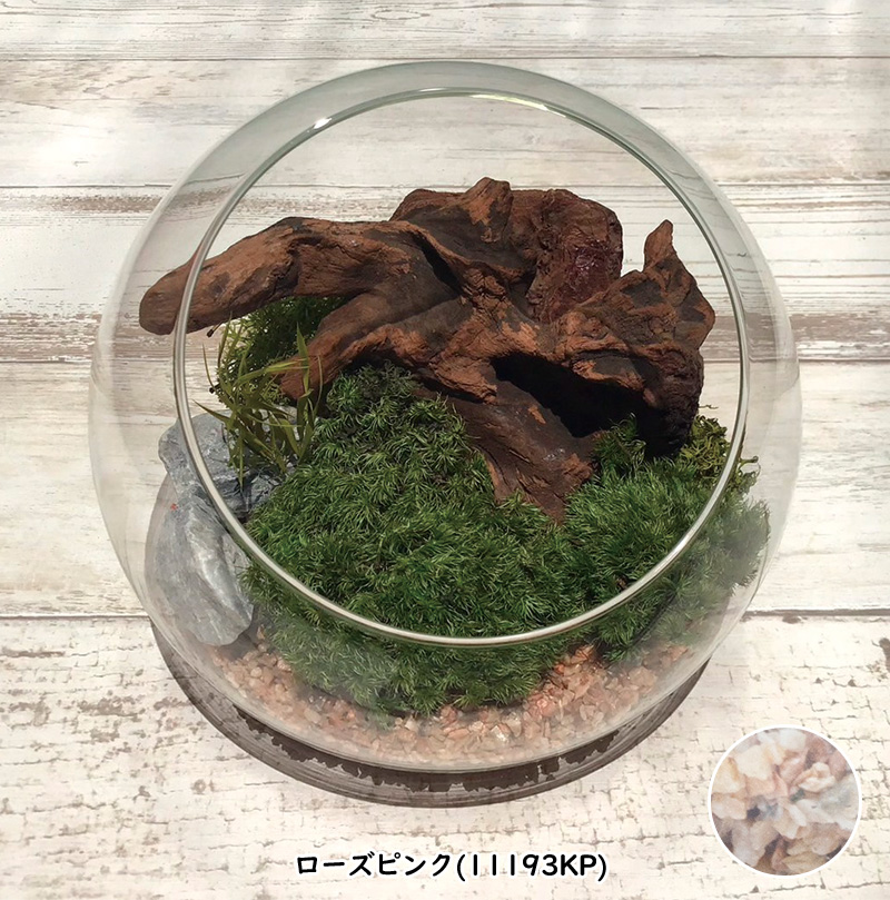 テラリウム プリザーブド 苔 インテリア 置物 苔プリ ガラスポット