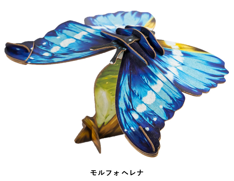 ペーパークラフト チョウ 蝶 MAKE BUG 紙製 立体 パズル モルフォ