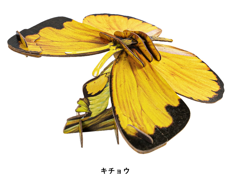 ペーパークラフト チョウ 蝶 MAKE BUG 紙製 立体 パズル モルフォ