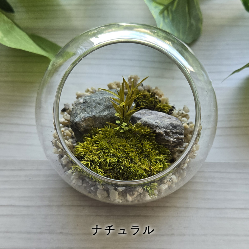 苔テラリウム　No.４９０ 苔プリ ガラスドーム 10cm 完成品 テラリウム 枯れない苔 苔