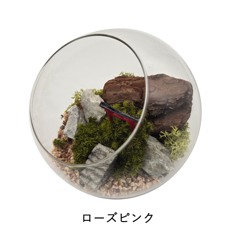 苔プリ ガラスドーム 12cm 鳥居タイプ 完成品 テラリウム 枯れない苔