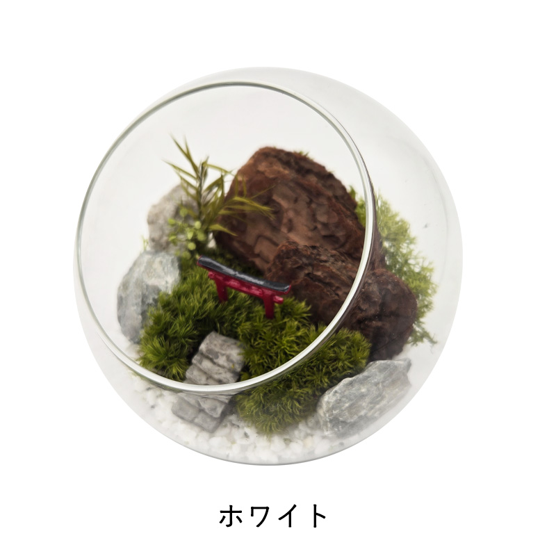 苔プリ ガラスドーム 12cm 鳥居タイプ 完成品 テラリウム 枯れない苔