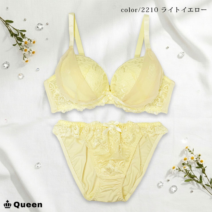 ブラジャー ショーツセット 上下 大きいサイズ レディース下着