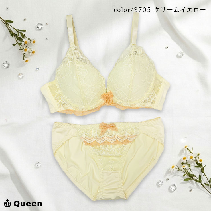 ブラショーツセット 大きいサイズ まとめ買い 下着 レディース セット