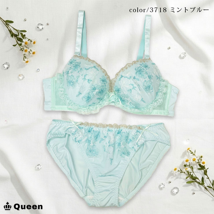 ブラショーツセット 大きいサイズ まとめ買い 下着 レディース セット