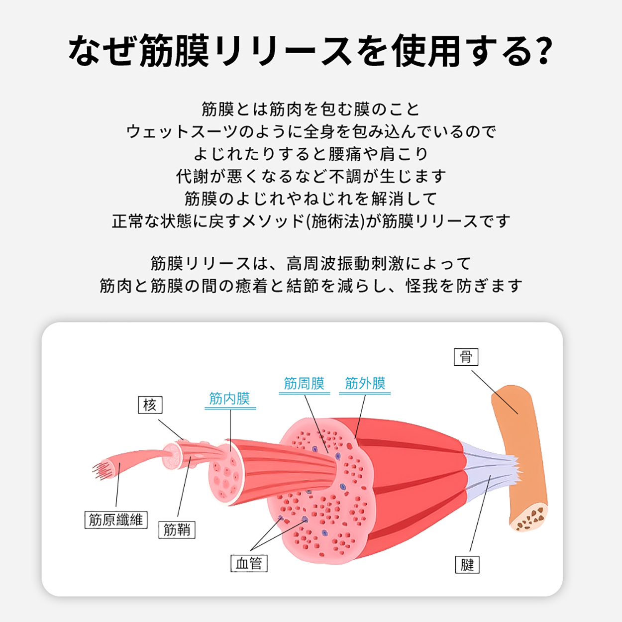 筋膜リリース ガン 筋膜ガン マッサージガン ハンディ ネック