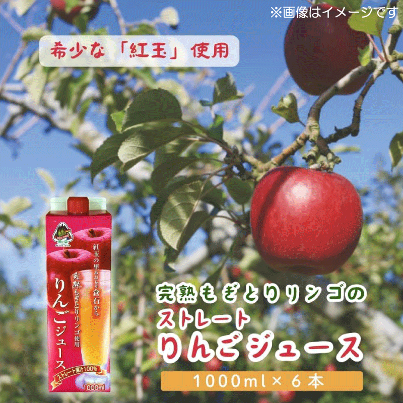 八戸中央青果 完熟もぎとりりんご使用 紅玉の里あおもり倉石