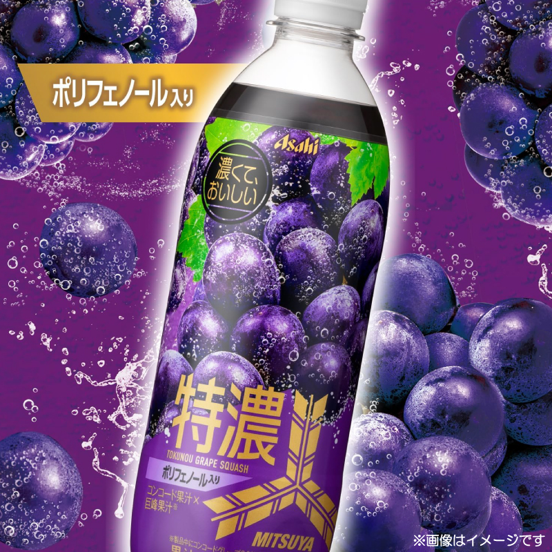 三ツ矢 アサヒ飲料 特濃グレープスカッシュ PET 500ml ×48本 (24本入×2