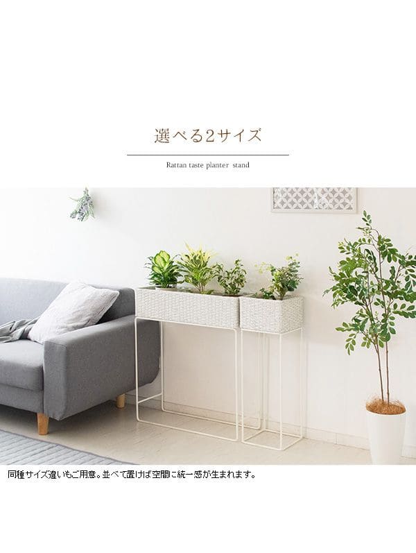 フラワースタンド 室内 白 プランタースタンド ラタン 玄関 幅60 フラワースタンド 室内 白 プランタースタンド ラタン 玄関 幅60