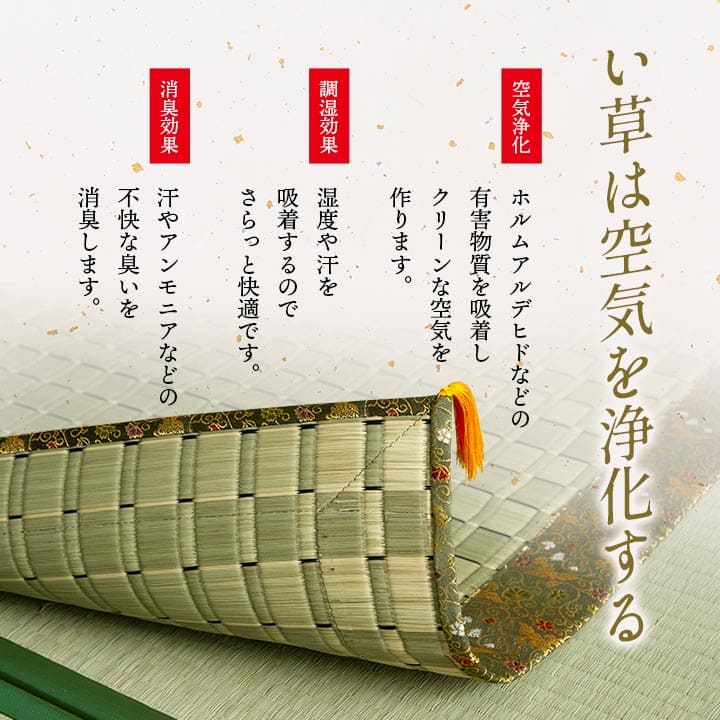 座布団 ござ 長座布団 い草 日本製 法事 お坊さん 坊さん 法事用