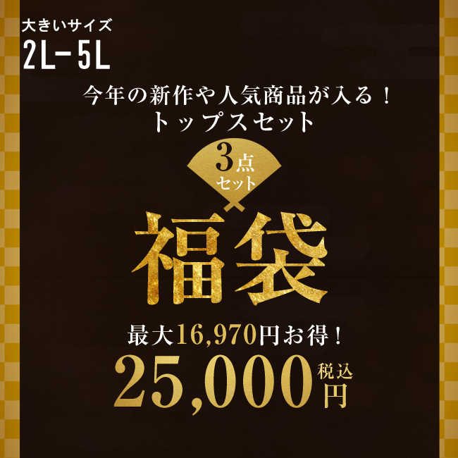 大きいサイズ メンズ 最大16,970円お得 QZILLAオリジナル 人気トップス3点入り 福袋 パーカー スウェット シャツ | 