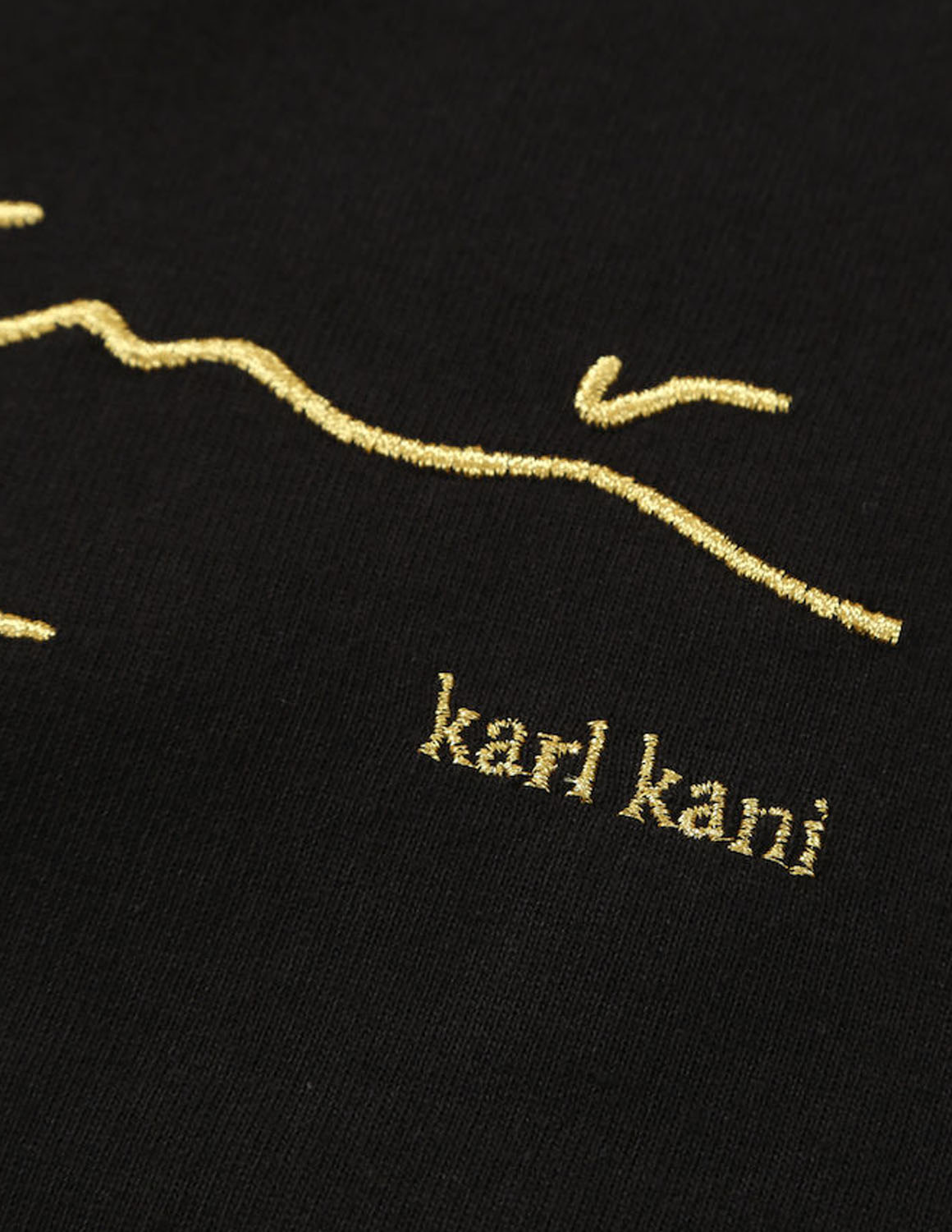 大きいサイズ 半袖Tシャツ カットソー メンズ  KARL KANI(カール カナイ) 天竺 刺繍 バックプリント 3L 4L 5L 6L 8L カジュアル 白 黒 春 夏 秋 | Karl Kani | 03