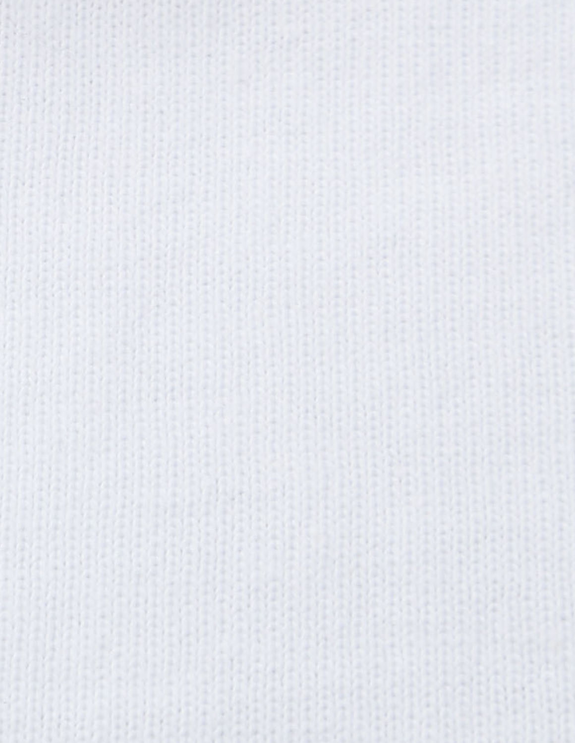 大きいサイズ 半袖Tシャツ カットソー メンズ  KARL KANI(カール カナイ) 天竺 刺繍 バックプリント 3L 4L 5L 6L 8L カジュアル 白 黒 春 夏 秋 | Karl Kani | 07