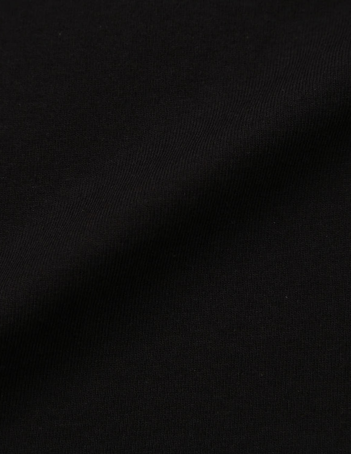 大きいサイズ 半袖Tシャツ カットソー メンズ  Coleman(コールマン) USAコットン 胸ポケット ヒストリーバックプリント 3L 4L 5L 6L 8L カジュアル 白 茶色 黒 | Coleman | 13