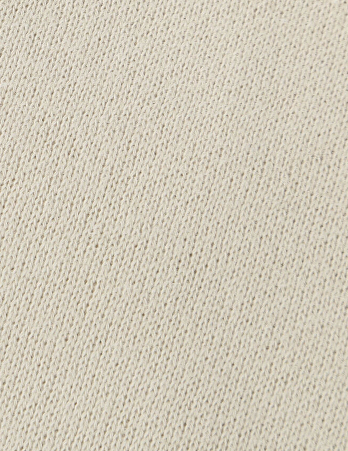 大きいサイズ トレーナー メンズ ハーフボタン  Coleman(コールマン) 裏起毛 スタンドカラー バックプリント 刺繍 リブ 3L 4L 5L 6L 8L カジュアル 春 秋 冬 | Coleman | 07