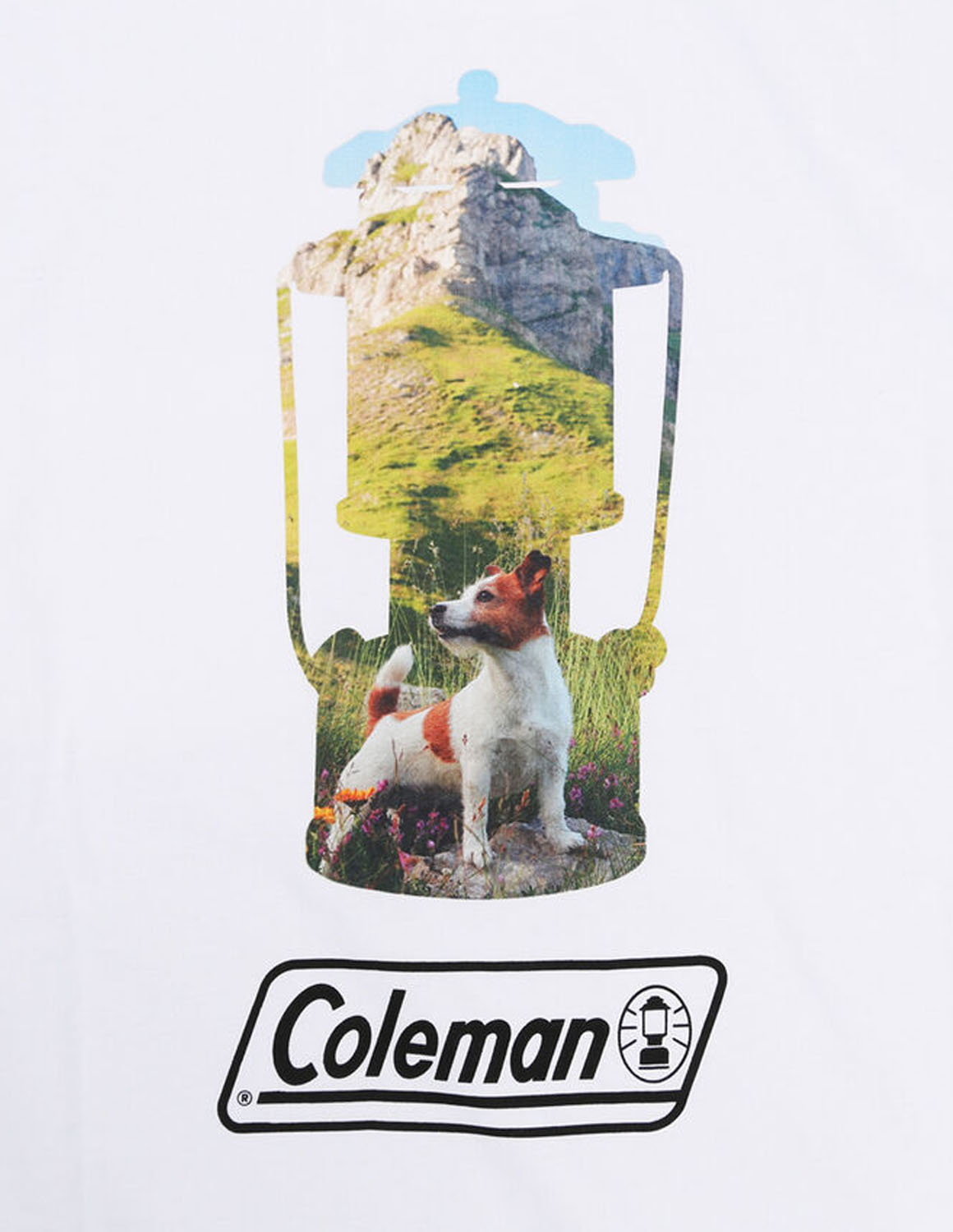 大きいサイズ 半袖Tシャツ カットソー メンズ 長袖  Coleman(コールマン) 天竺 胸ポケット付 バックプリント 袖口リブ 3L 4L 5L 6L カジュアル 白 紺 春 秋 冬 | Coleman | 07