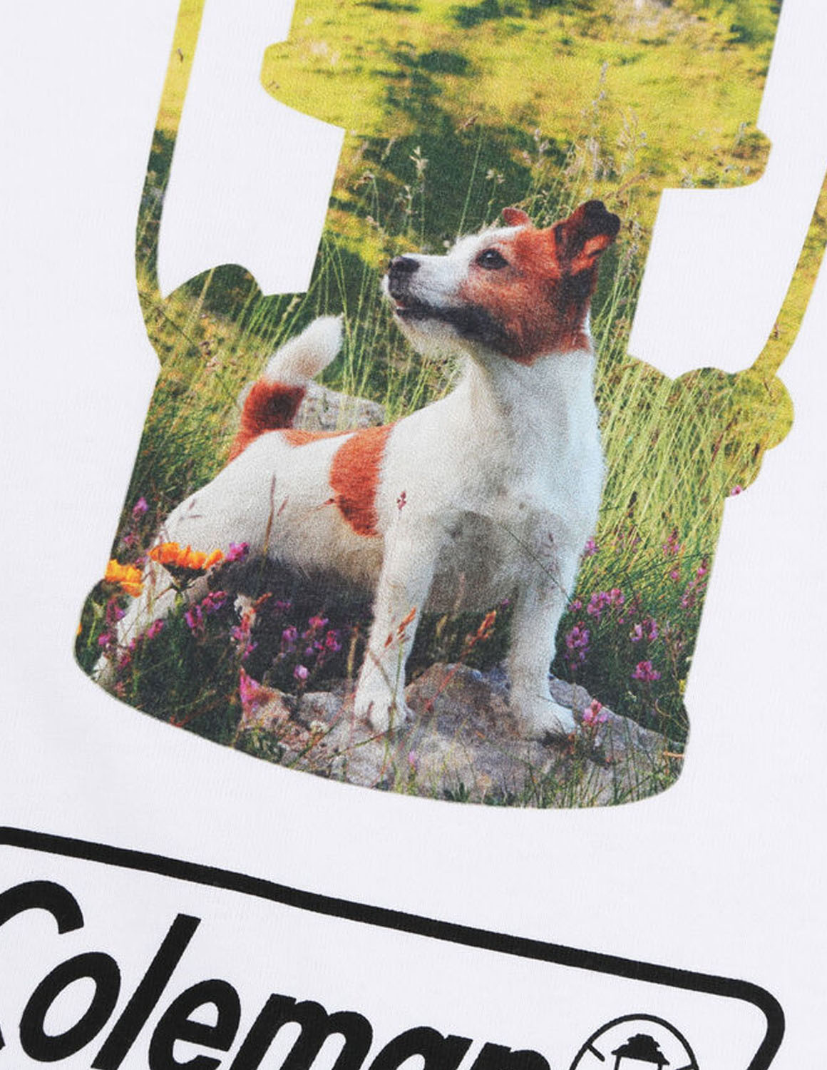 大きいサイズ 半袖Tシャツ カットソー メンズ 長袖  Coleman(コールマン) 天竺 胸ポケット付 バックプリント 袖口リブ 3L 4L 5L 6L カジュアル 白 紺 春 秋 冬 | Coleman | 08