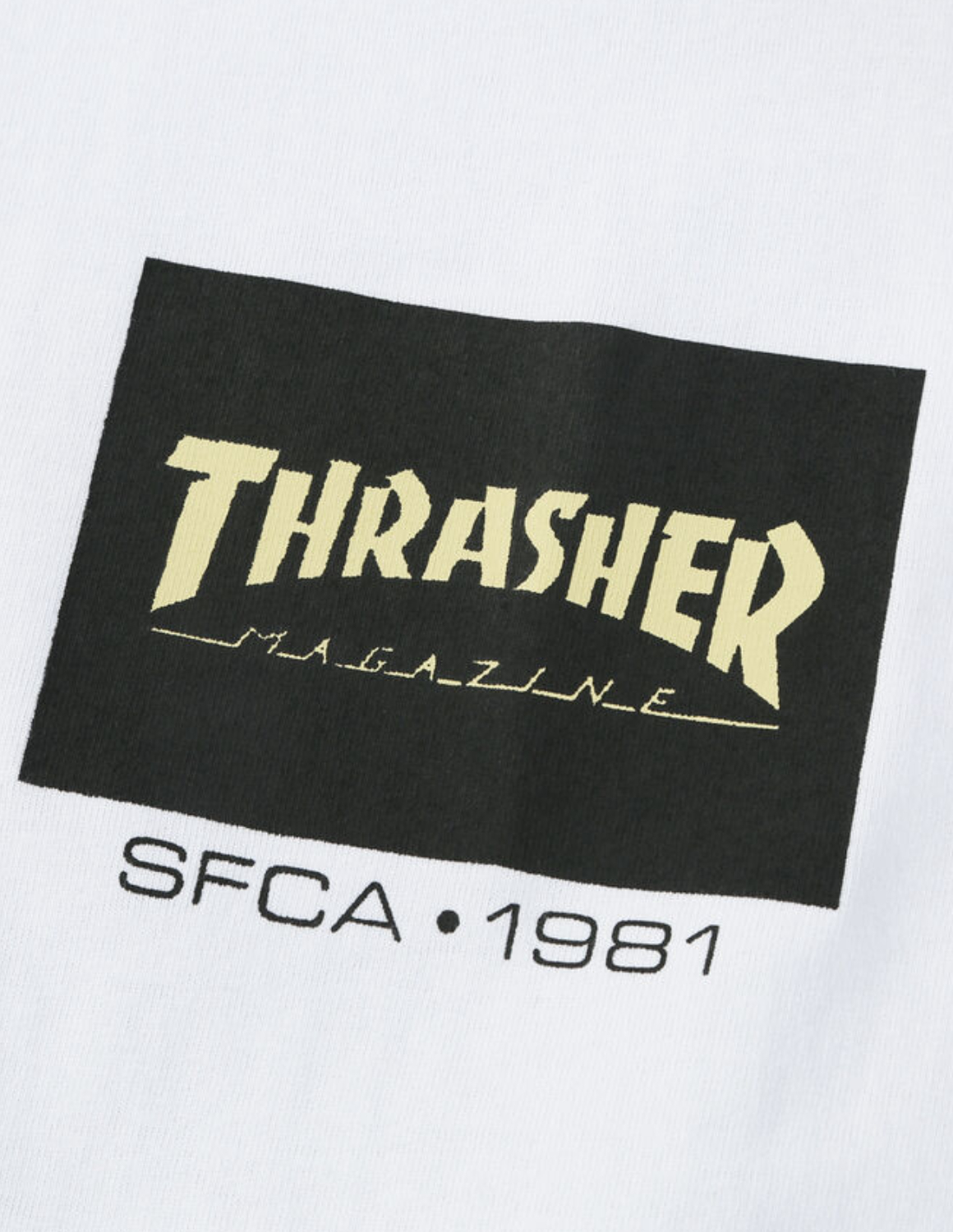 大きいサイズ 半袖 Tシャツ カットソー メンズ THRASHER(スラッシャー) ボックスロゴ バックプリント カジュアル 3L 4L 5L 6L 8L 白 黒 春 夏 秋 | THRASHER | 05
