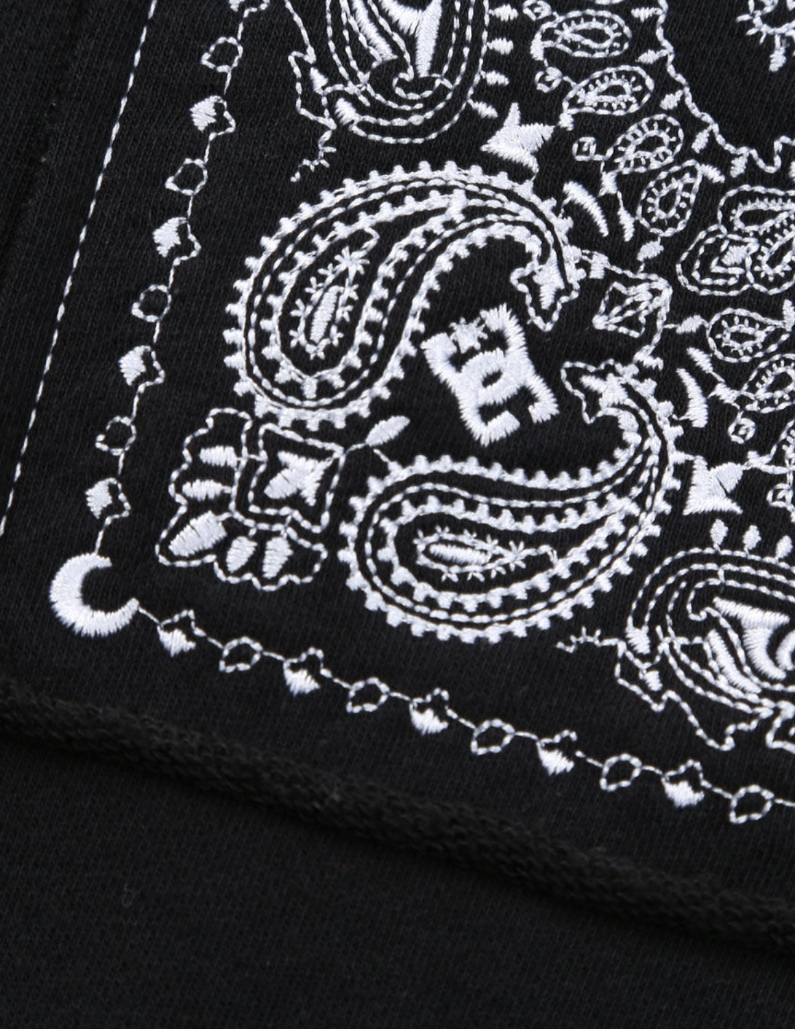 大きいサイズ 長袖 メンズ パーカー DCSHOES(ディーシーシューズ) 26HIDDEN BANDANA フルジップ フード サイドポケット リブ(袖口・裾) 刺繍 裏毛 カジュアル |  | 13