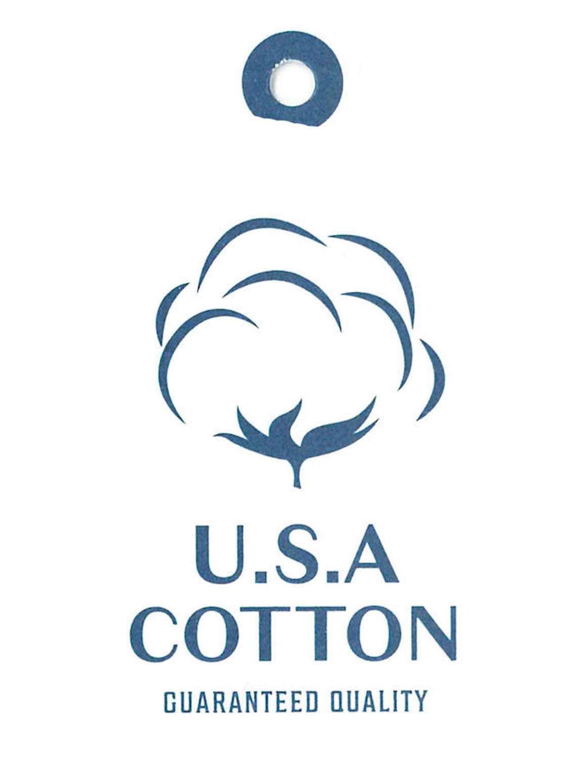 大きいサイズ 半袖 Tシャツ メンズ 3L 4L 5L 6L 7L 8L カジュアル 肌色 灰色 春 夏 秋 Coleman コールマン USAコットン 胸ポケット付 ワッペン クレイジー | Coleman | 09