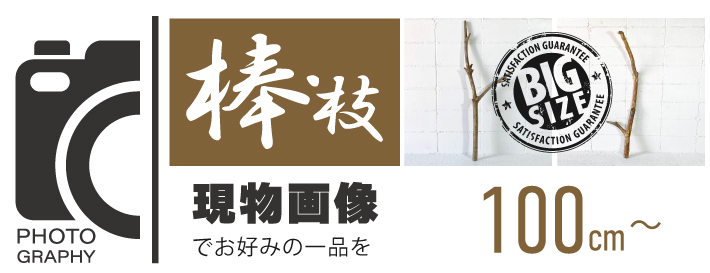 受注品：流木 CATEGORY 流木のかけら（中） | 流木素材販売店「流木のふるさと」