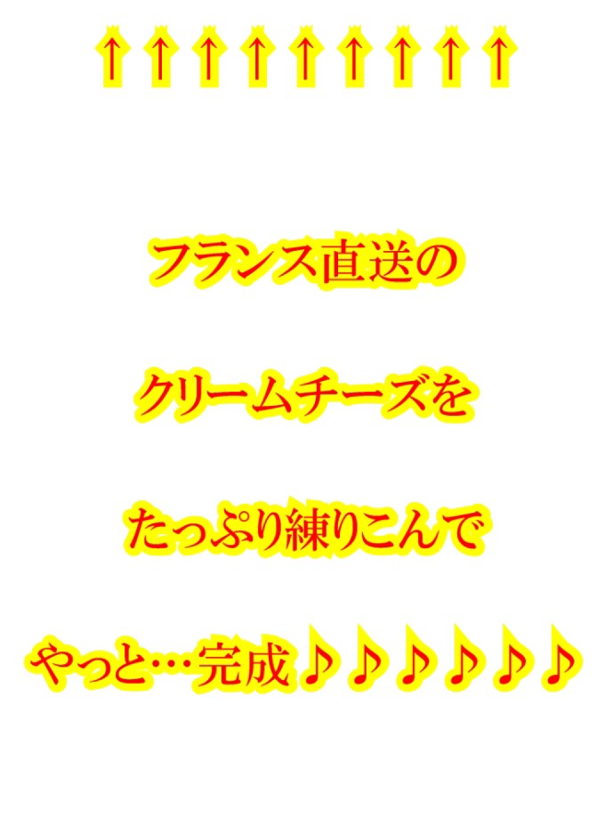 送料無料チーズケーキ