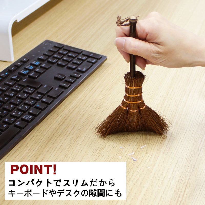 broom-re005-3.jpg