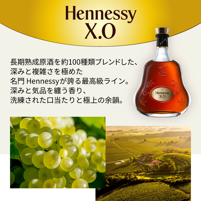 Hennessy（ヘネシー） ヘネシーX.O 名入れ お酒 hennessy xo