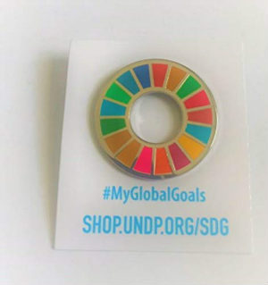 正規販売店】 SDGs 国連 17色 ピンバッジ バッジ バッチ バッヂ 襟章