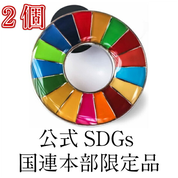 正規販売店】 国連本部限定販売 SDGs ピンバッジ 日本未発売 UNDP 丸み