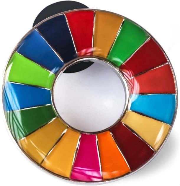 正規販売店】 国連本部限定販売 SDGs ピンバッジ 日本未発売 UNDP 丸み