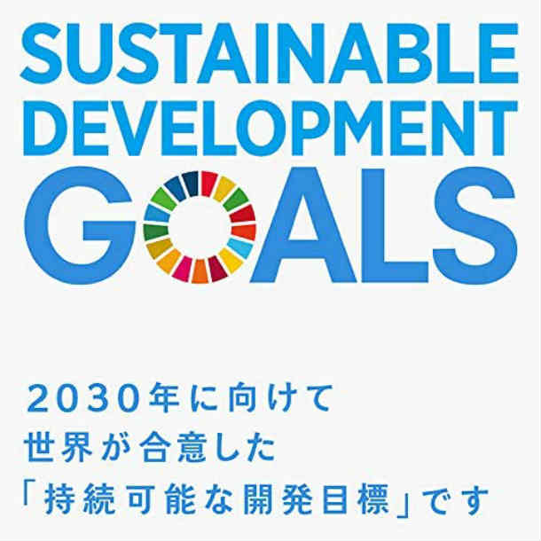 正規販売店】 国連本部限定販売 SDGs ピンバッジ 日本未発売 UNDP 丸み