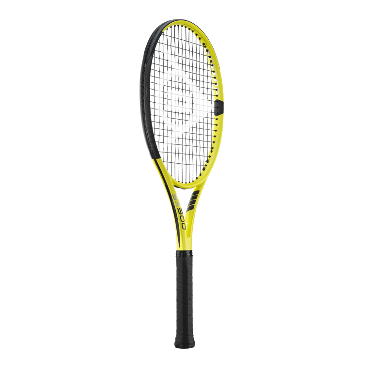 DUNLOP ダンロップ SX 300 LS エスエックス300エルエス DS22202 国内