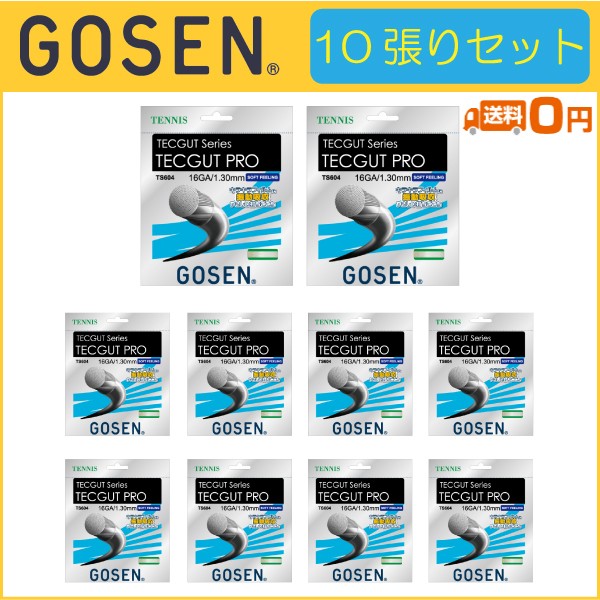 GOSEN（ゴーセン） TECGUT PRO 16 テックガットプロ 16 TS604 10張り