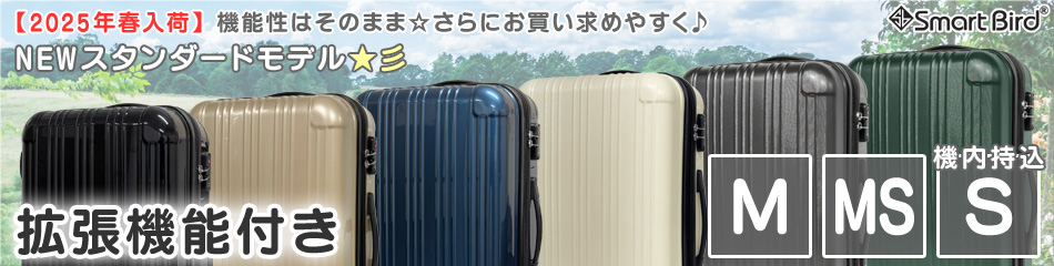 …師匠 ⭐️BYBIT キャリーケース　バッグ　セット　バイビット 楽天市場】【犬 キャリーバッグ】Sサイズ 3ポケットペット