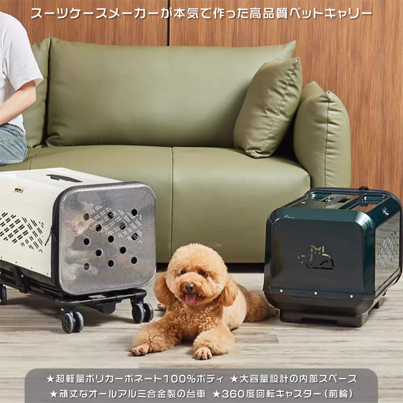 イメージ写真