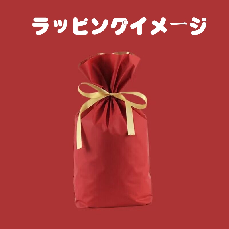 イカゲーム Squid Game 3点セット バックパック グッズ リュック