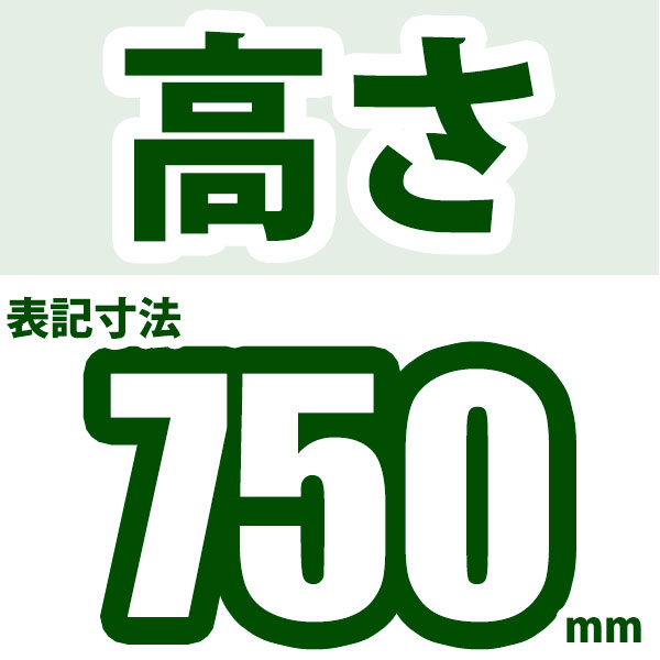 スチールラック 幅150×奥行30×高さ75cm 5段 耐荷重150kg/段 中量棚