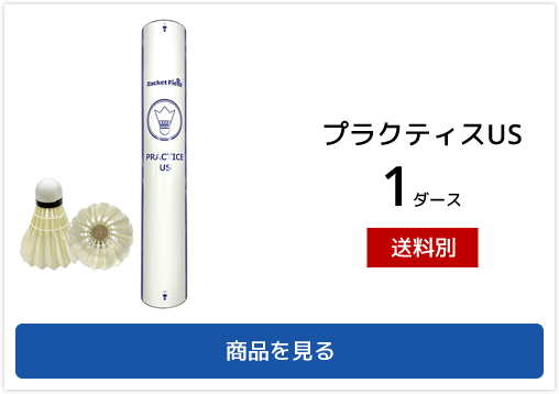 バドミントン シャトル10ダース 120個入り 練習用 ラケット