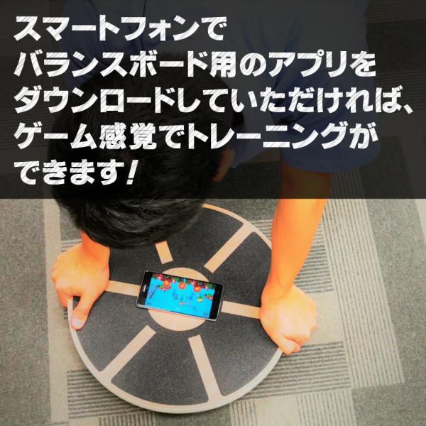 バランスボード バランストレーニングの新しいカタチ マニュアル