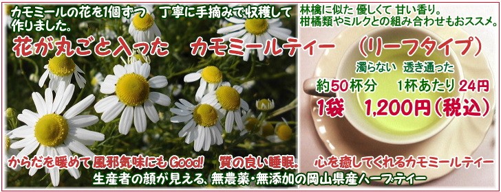 カモミール ティー リーフタイプ ハーブティー 花が丸ごと入っている 無農薬 無添加の安全な国産 岡山県産 カモミール 良い睡眠 Cmt 01 ラジアンス 通販 Yahoo ショッピング