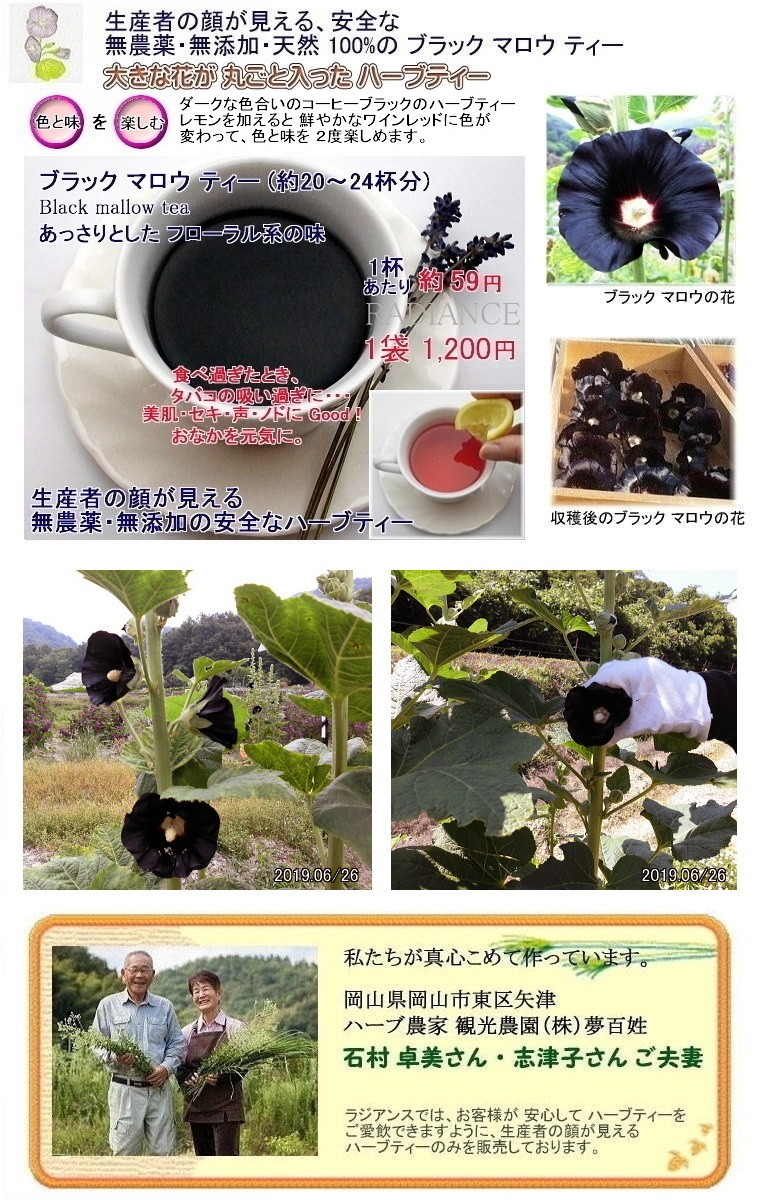 ブラックマロウティー 花が丸ごと入った 無農薬 無添加の国産 岡山県産 ハーブティー 飲み過ぎ 二日酔い 整腸 お腹の調子を整える Bkml 50 ラジアンス 通販 Yahoo ショッピング