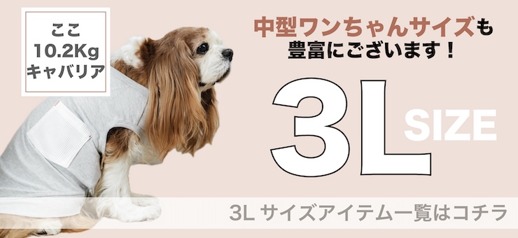 3L