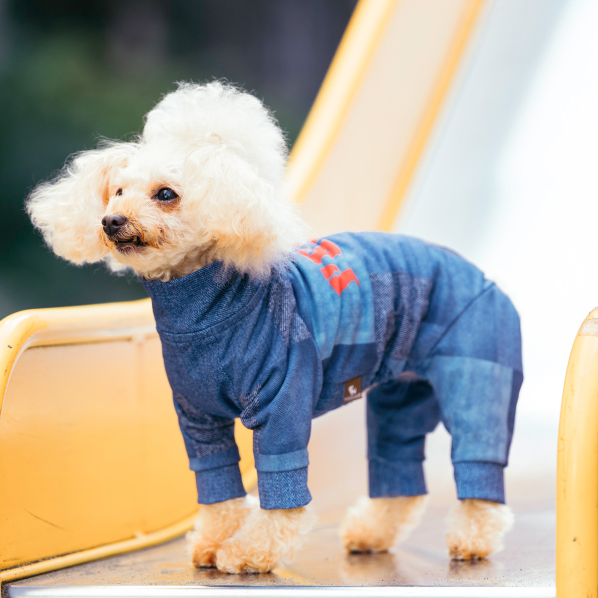 RADICA(ラディカ) 【まとめ買い対象】犬 服 接触冷感 虫よけ クール RADICA(ラディカ) 【まとめ買い対象】犬 服 接触冷感 虫よけ クール
